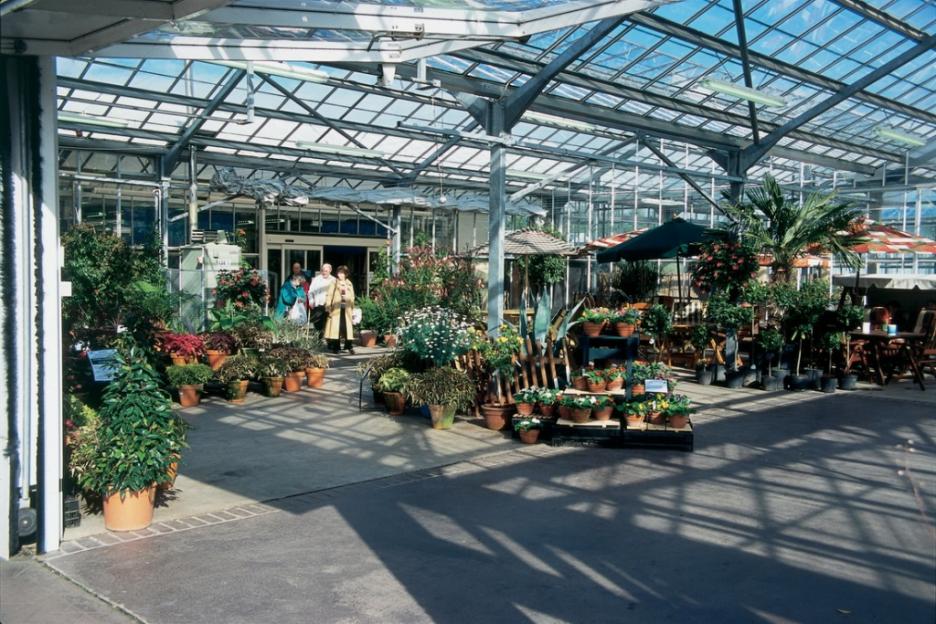 People walking inside a plant nursery with a glass roof.