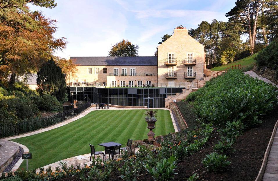 NINTCHDBPICT000981210781