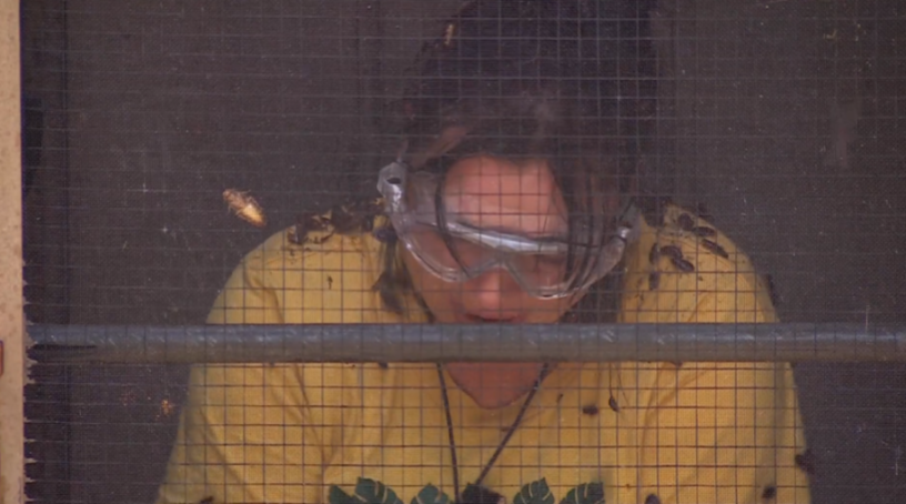 A person wearing safety goggles behind a mesh screen, with cockroaches crawling on the screen.