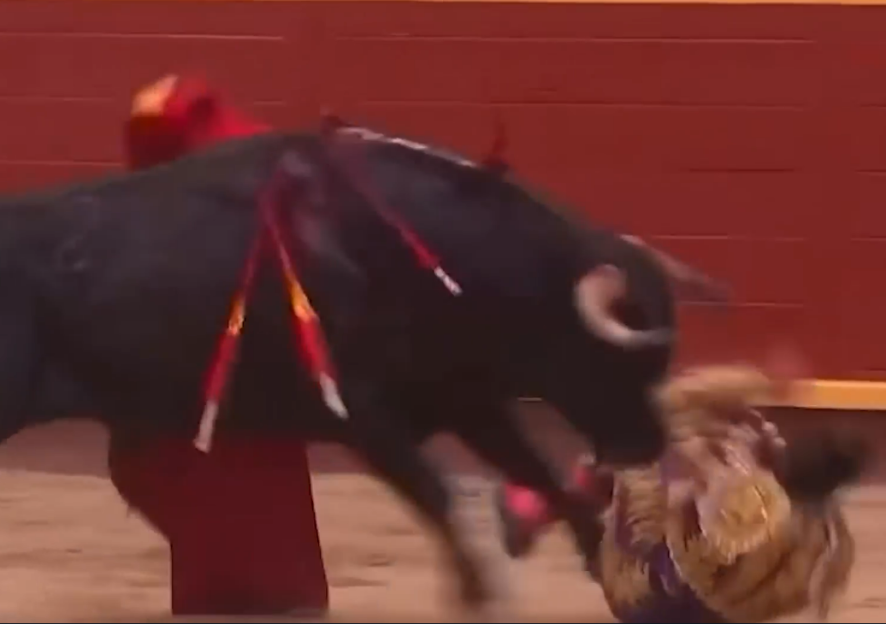 A bull goring a bullfighter in a bullring.