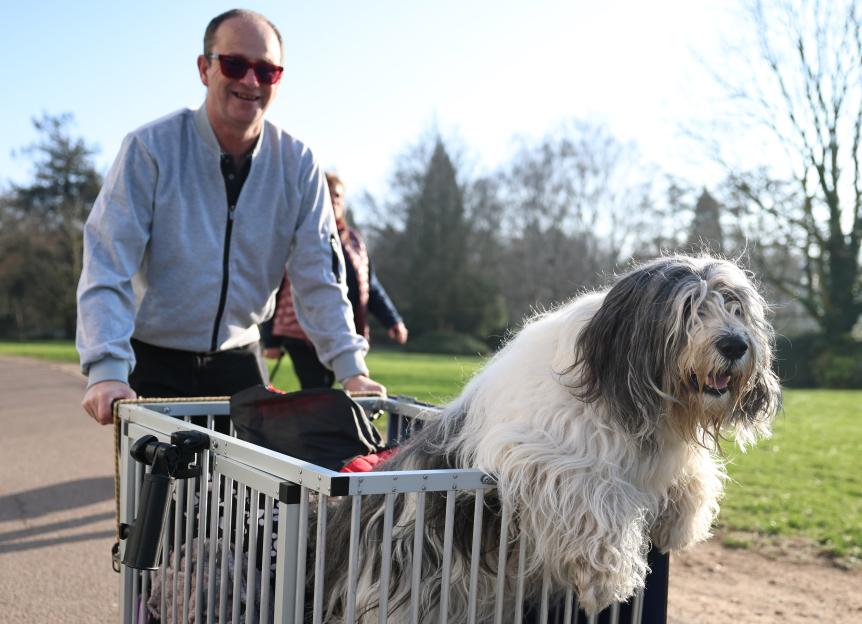 Miro, a Polish Lowland Sheepdog, being pushed in a cart by a man in sunglasses.