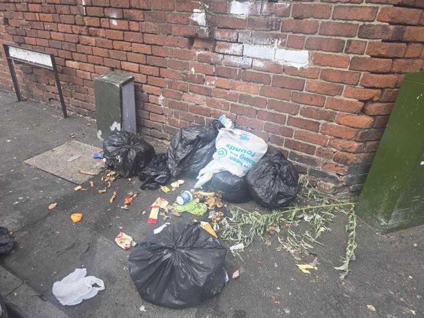 Fly-tipping and litter on Newport's Pottery Road.