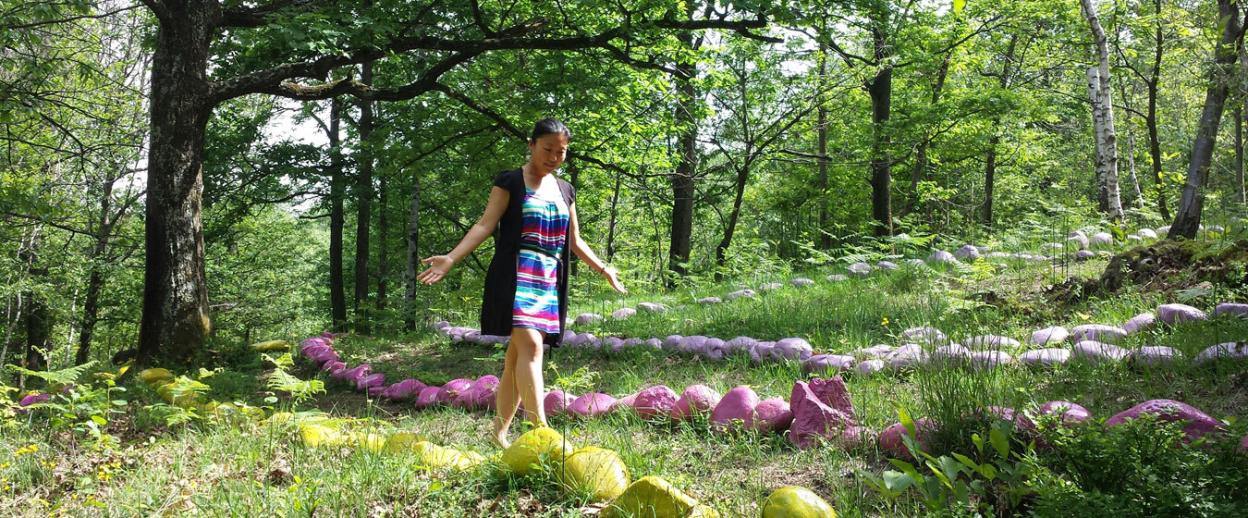 NINTCHDBPICT001069621958