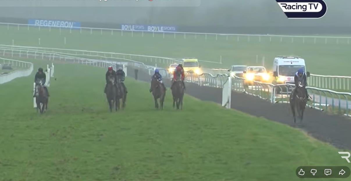Horse race with jockeys on a green track in foggy weather.