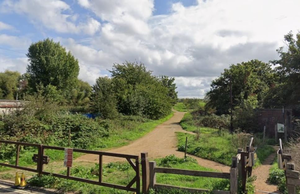 A dirt path branches into two, leading through a grassy area with trees under a cloudy sky.