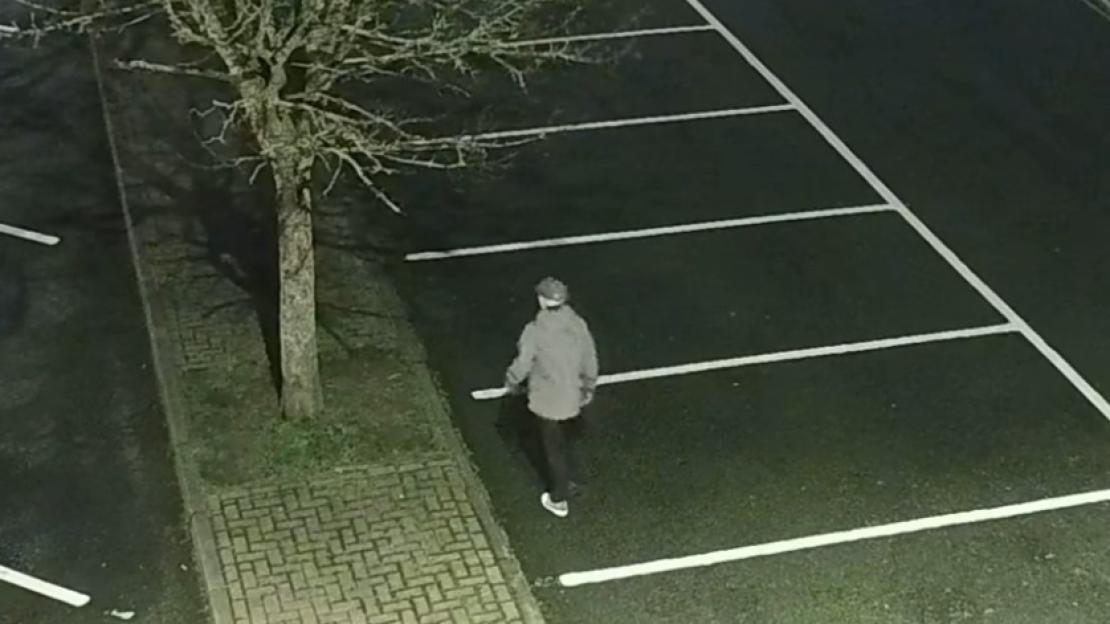 NINTCHDBPICT001046798668