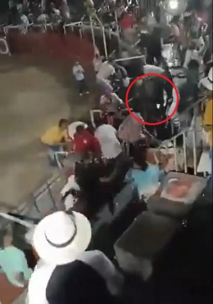 VIDEO: Several injured as bull leaps into crowd at ¿bullfight¿ and runs amok