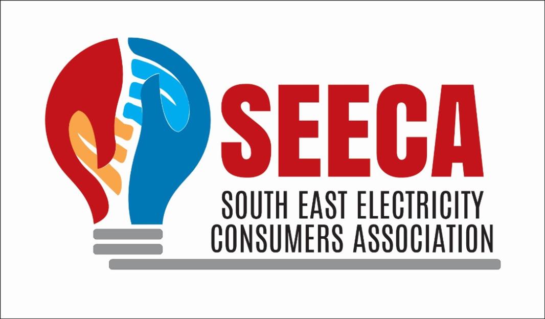 'South-East Faces Billions in Loss Due to Electricity Crisis – SEECA Urges Governors to Boost Power Generation'