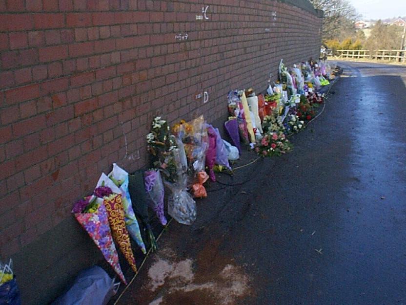 NINTCHDBPICT001062575930