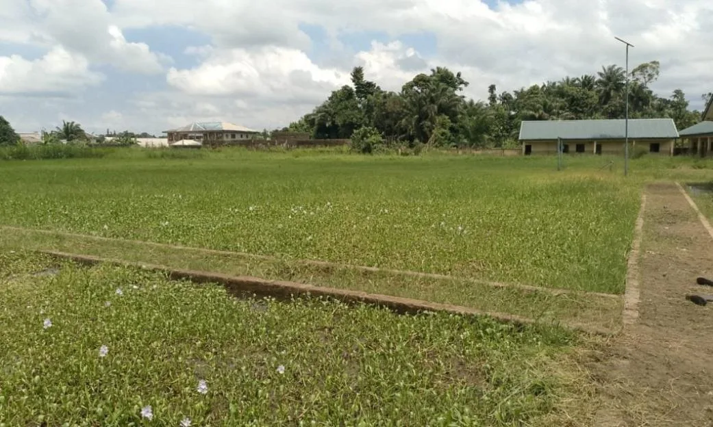 Headmaster beg Gov Oborevwori to sand fill, build staff quarters in flooded school