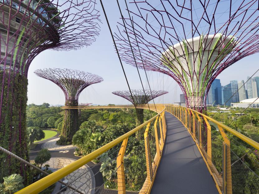 A winding yellow elevated walkway connecting Supertrees in Singapore's Gardens by the Bay, with dense tropical foliage below and city skyscrapers in the background.