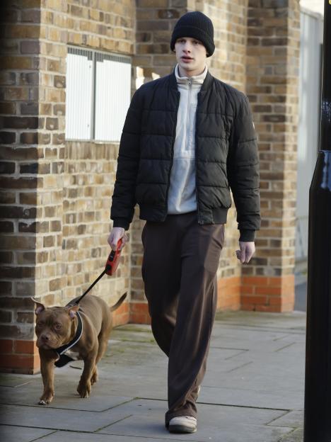 Excl - EXCLUSIVE: Freddy Brazier And Dog Settle Back At Grandma Jackiey Budden?Äôs Home In Bermondsey - 26 Nov 2025