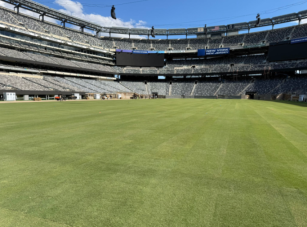 A view of the grass field in an empty stadium, with "New York New Jersey" visible on a scoreboard.