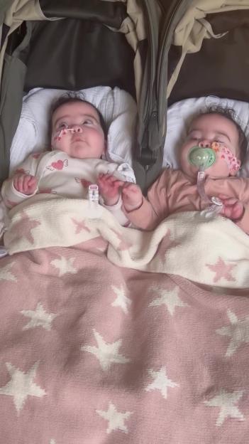 NINTCHDBPICT001061770940