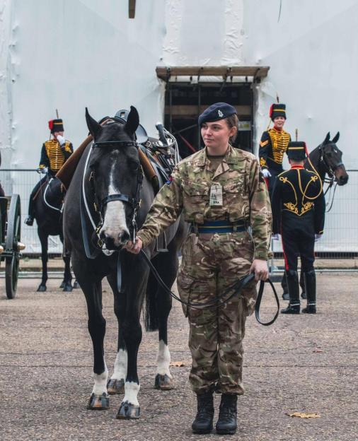 A service woman in camouflage uniform and a beret leads a black horse.