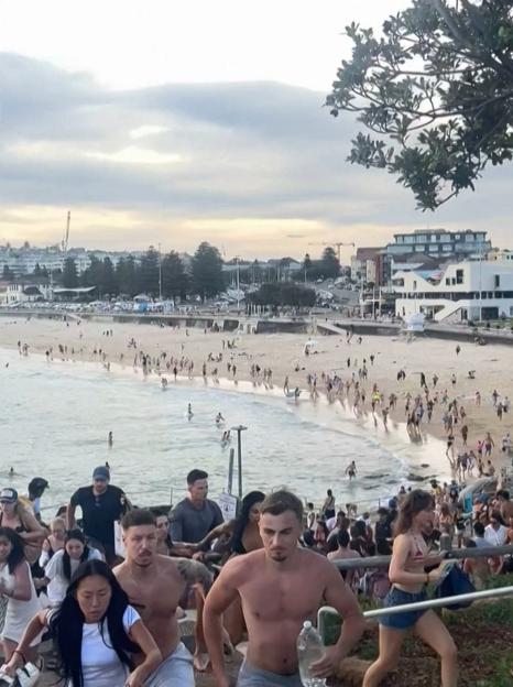 'Is Bondi Beach the Unlikely Symbol of a Globalized Intifada? Time for Politicians and Celebrities to Open Their Eyes!'