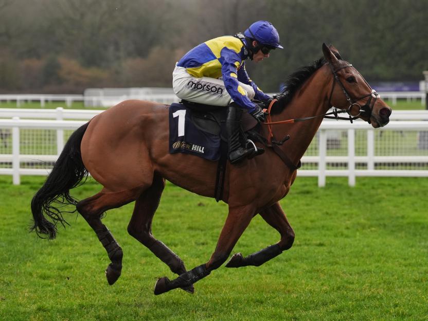 Paul Nicholls Sets Sights on Champion Hurdle with 25-1 Cheltenham Festival Dark Horse Showing Rapid Improvement