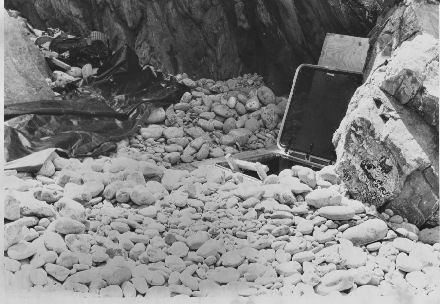 NINTCHDBPICT001040964343