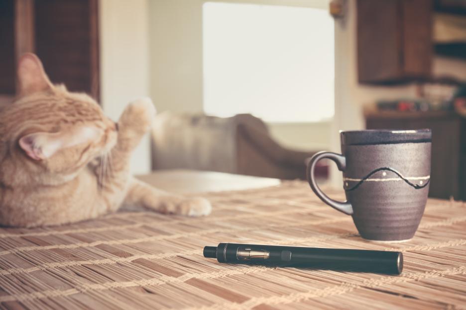 A vape pen and coffee cup on a bamboo mat, with an orange tabby cat grooming itself in the background.