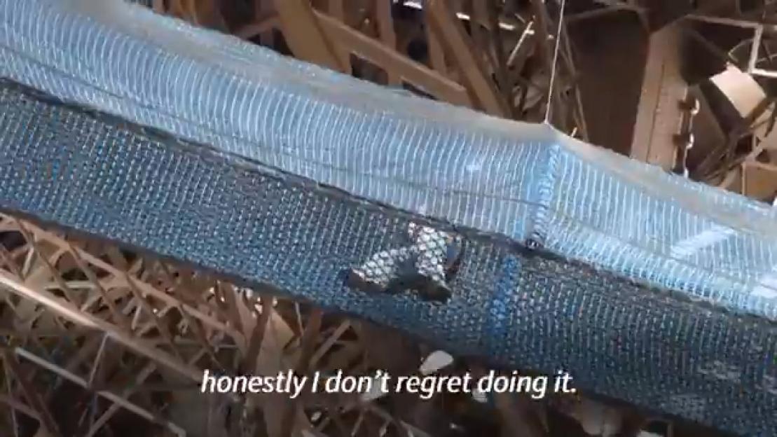 NINTCHDBPICT001071026131