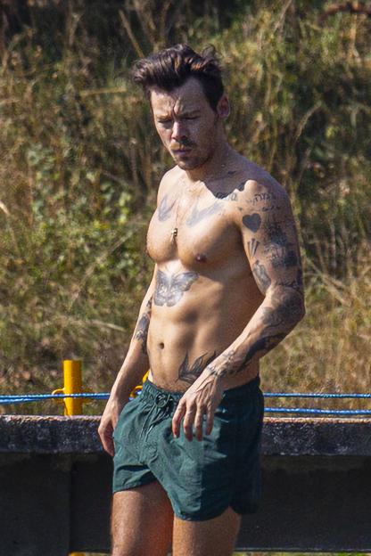 Harry Styles Dishes Out £20k on Cutting-Edge Device to Boost Muscle Recovery!
