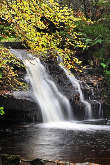 Blackling Hole Waterfall in autumn, Hamsterley Forest, Teesdale, County Durham, UK.