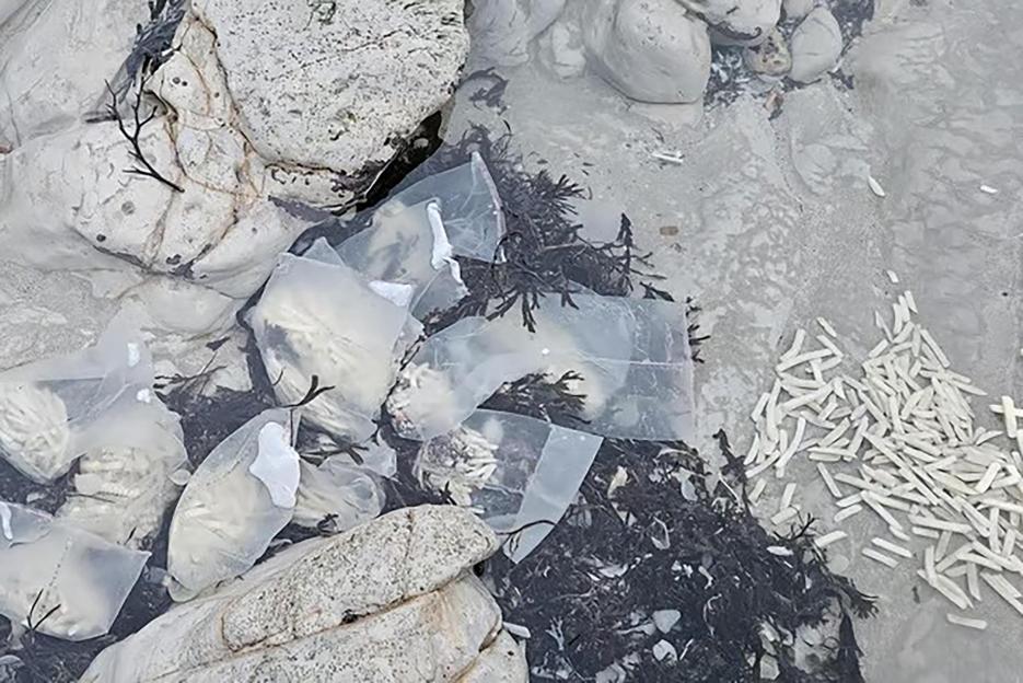 NINTCHDBPICT001052427875