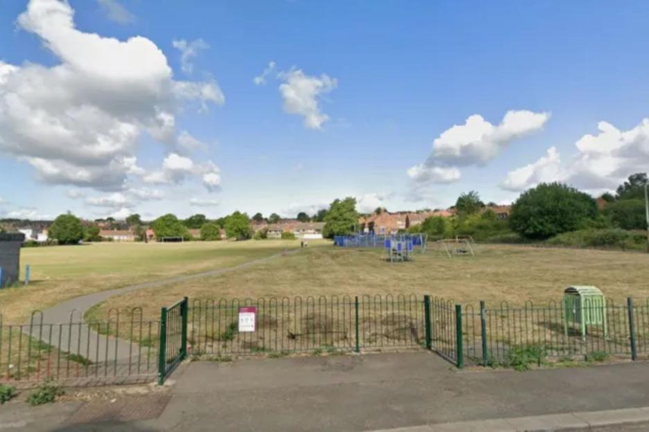 5-Year-Old Boy Horrifically Injured in Park Dog Attack; 29-Year-Old Man Arrested