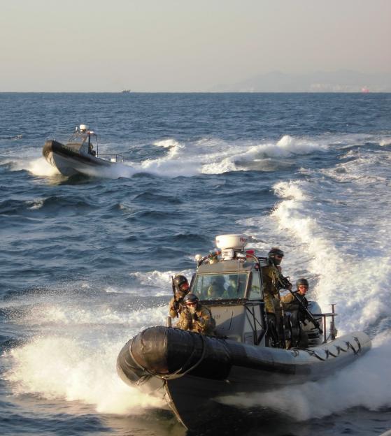 Navy SEALS Unleash Fury: Destroy Dozens of Iranian Mines in Covert Four-Month Operation to Secure the Strait of Hormuz