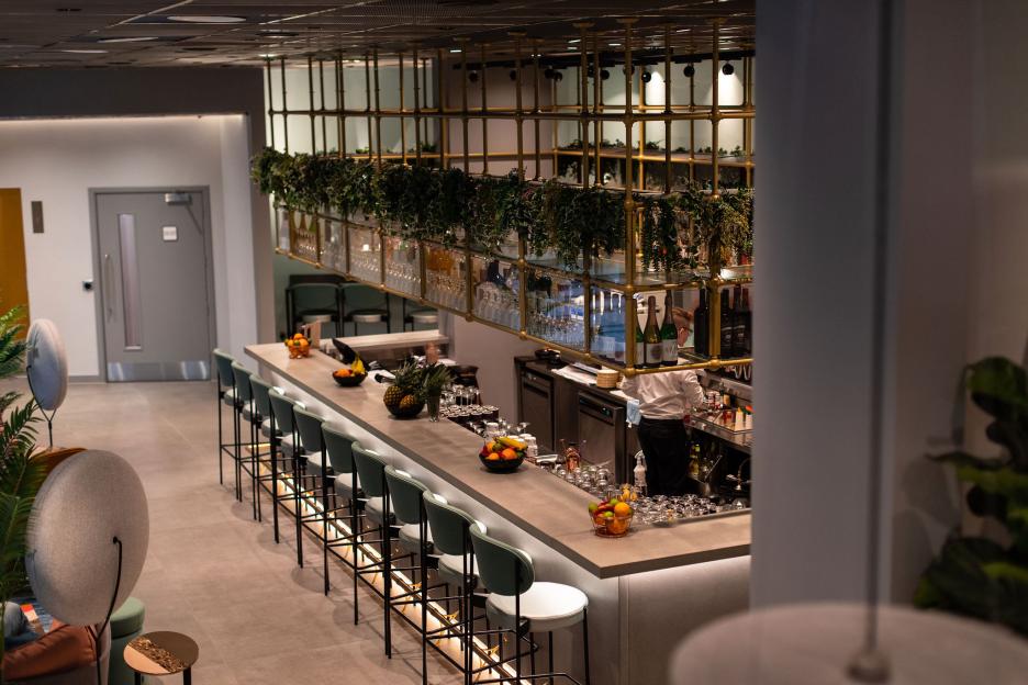 Bar with green stools and hanging plants.