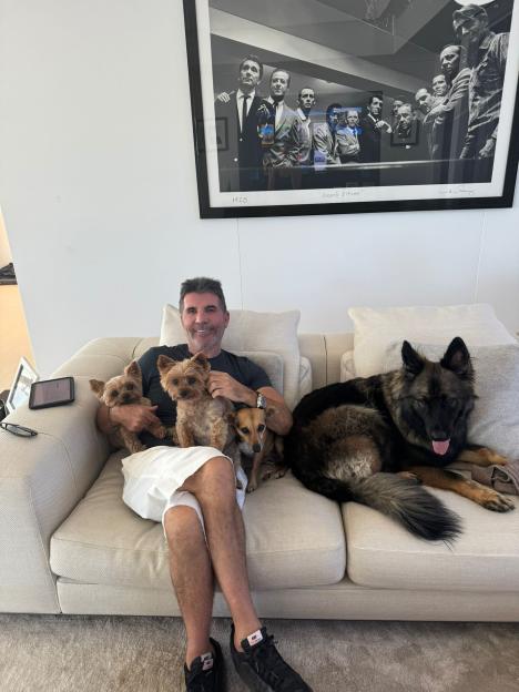 NINTCHDBPICT001044779700