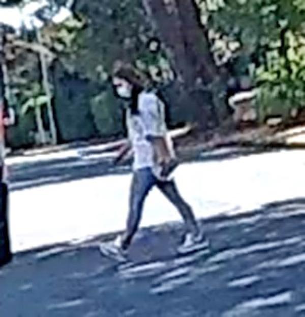 NINTCHDBPICT000685141090