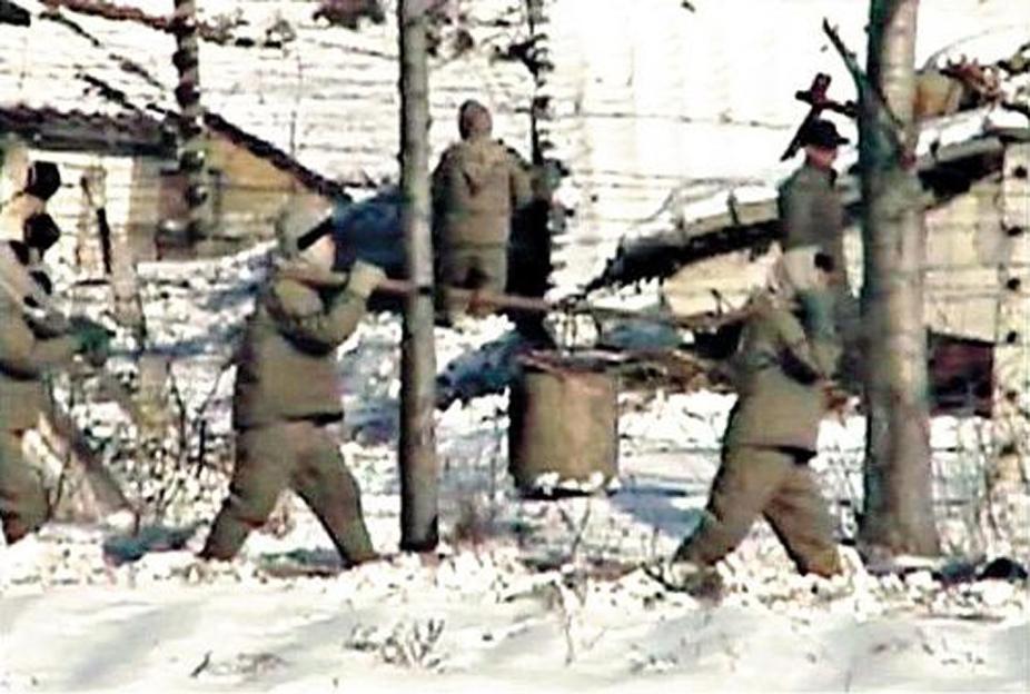 Prisoners at Yodok concentration camp forced to chop down trees in a snowy landscape.