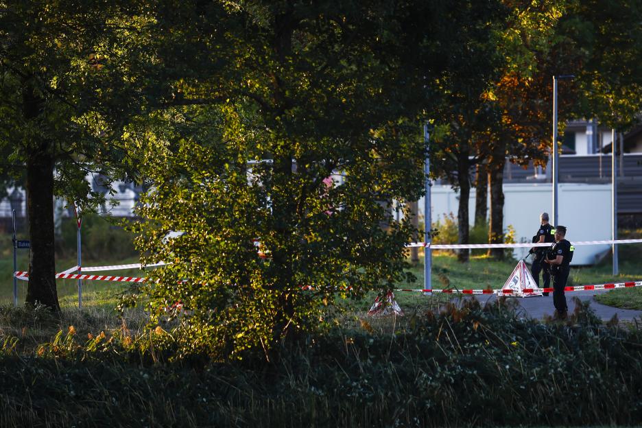 "Tragic Shooting at Swiss Rave Leaves Several Victims as Police Launch Major Operation"
