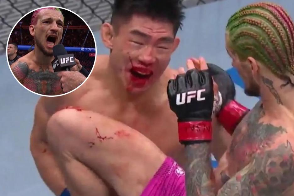 Sean O'Malley Dominates Song Yadong in Thrilling UFC 324 Victory, Eyes Title Shot After Return to Winning Ways