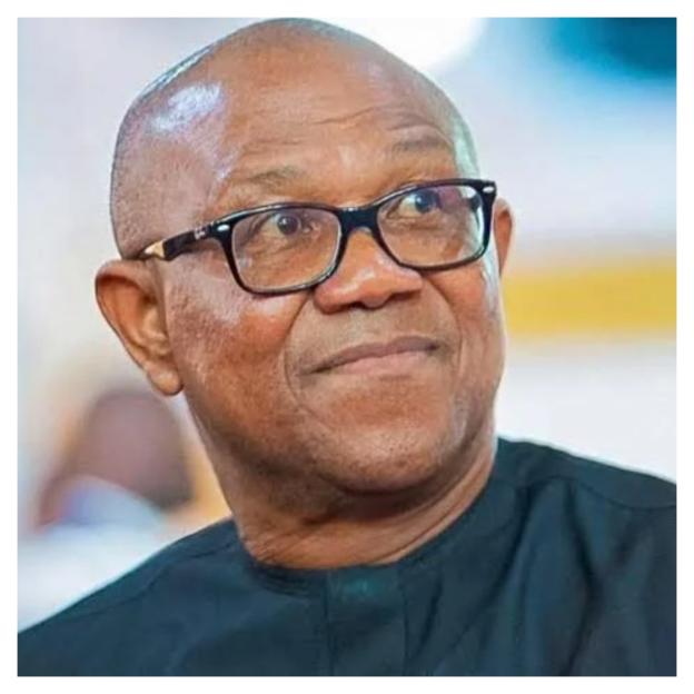 2027 Showdown: Danbature and Analysts Debate Peter Obi's Prospects in Northern Nigeria