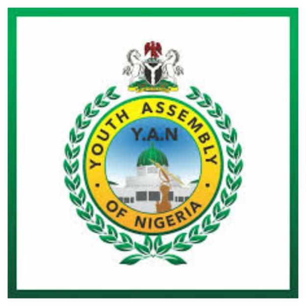 'YAN Urges Fairness in APC National Youth Leader Election'