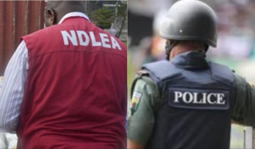 'Police and NDLEA Alert: Hard Drugs and Substance Abuse Fueling Terrorism and Kidnapping'