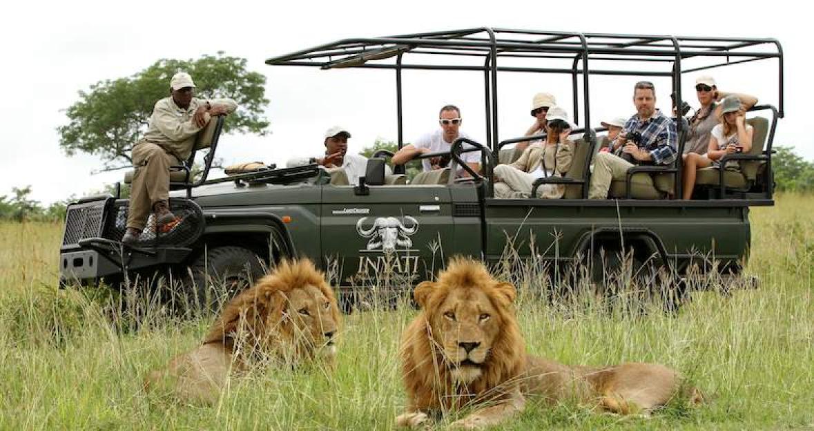 Tourists in the Kruger National Park enjoying a game drive taking in lions and rhino which are part of the Big 5 which include buffalo, lion and leopard