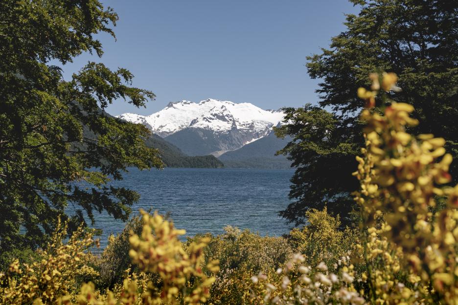 Snowcapped mountains over a lake in Los Alerces National Park framed by green and yellow foliage.