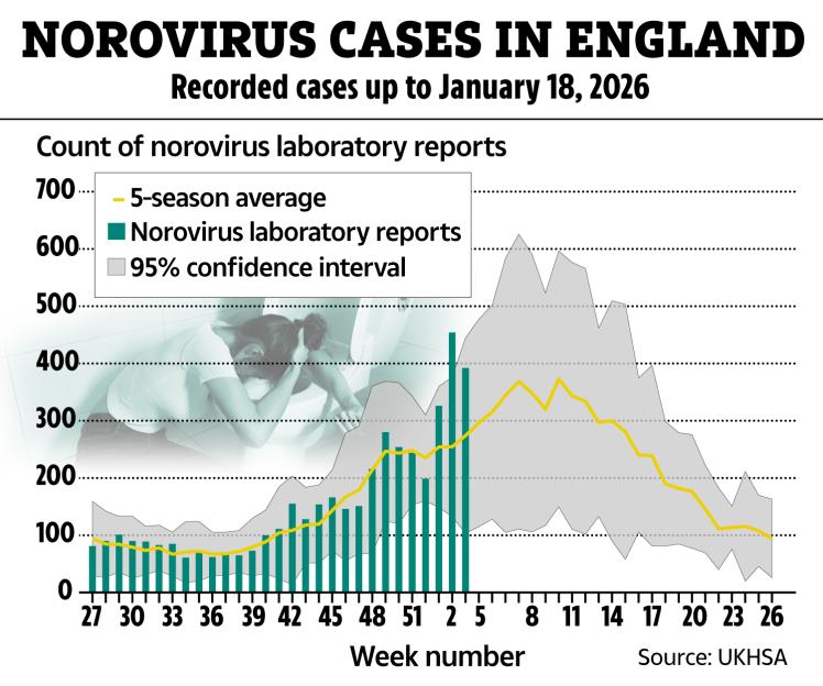 Bar chart showing norovirus laboratory reports in England from week 27 to 26, compared to a 5-season average and 95% confidence interval, with a background image of someone being sick.