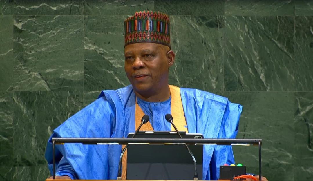 'VP Shettima: Nigeria Leads, Africa Follows'