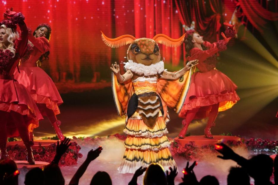 A person in a moth costume with a tiered skirt, antennae, and wings stands on a stage with dancers in red dresses and an audience.