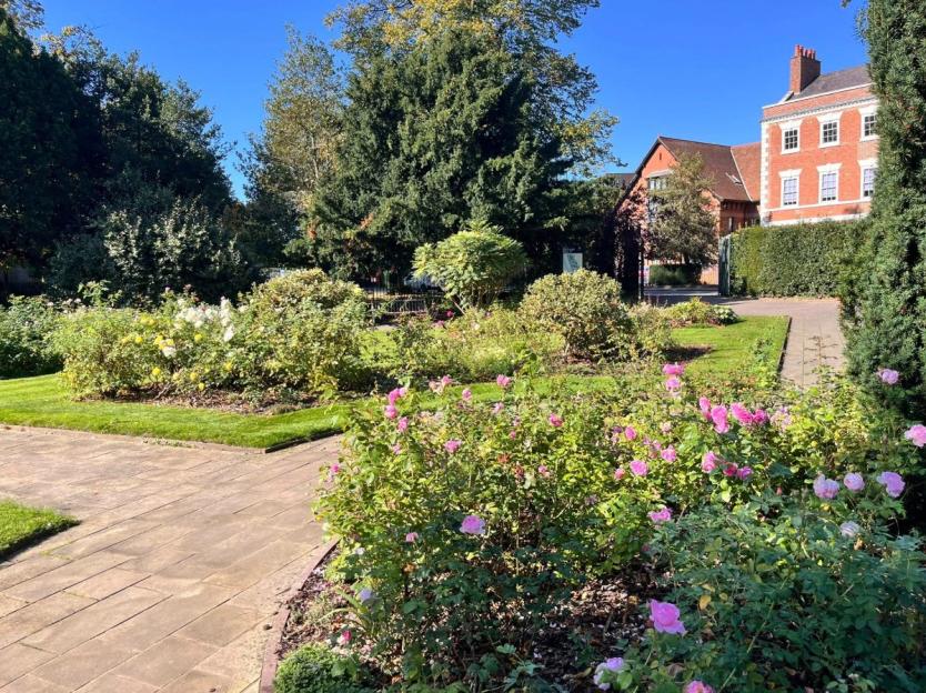 Grosvenor Park in Chester with rose bushes and a red brick building in the background.
