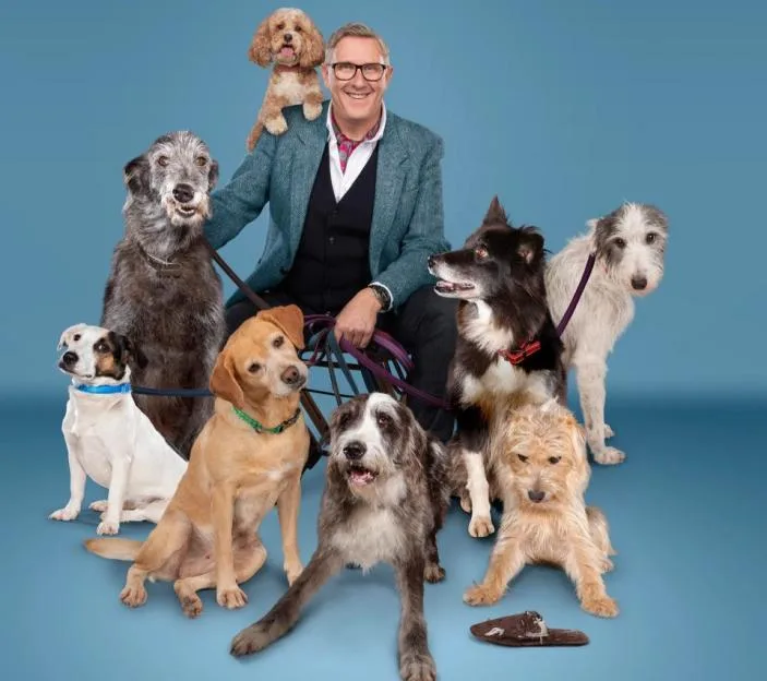 Graeme Hall posing with a group of dogs of various breeds against a blue background.