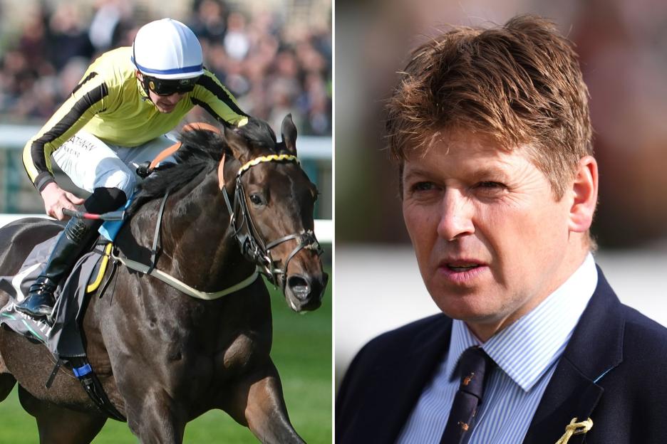 £1 Million-Earning Royal Ascot Runner-Up Sold and Set for Global Tour with New Trainer