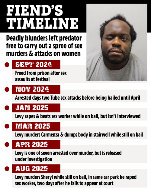 A timeline detailing "Fiend's" crimes from September 2024 to August 2025, alongside a photo of the man, Levy.