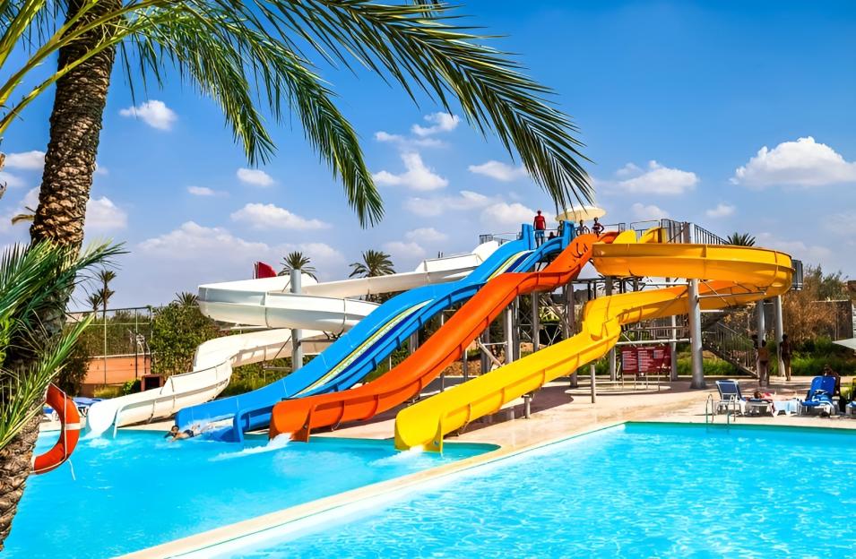 NINTCHDBPICT001066000202