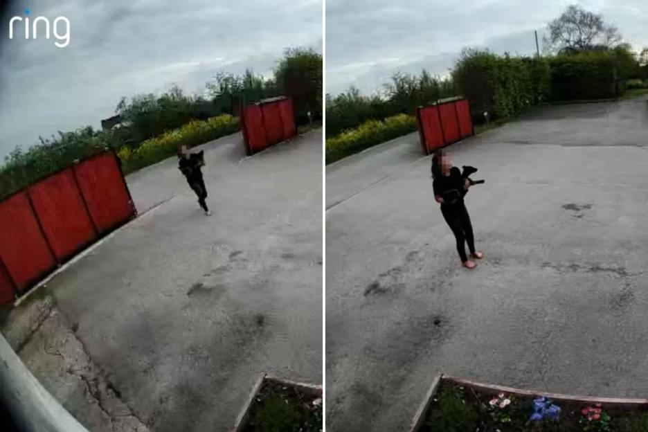 Heartbreaking Moment: Woman Abandons 'Sick and Starving' Puppy Outside Dog Kennels, RSPCA Launches Investigation