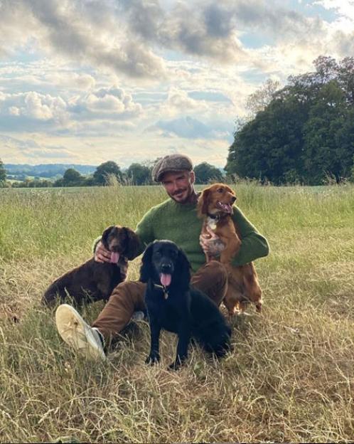 NINTCHDBPICT000595442095